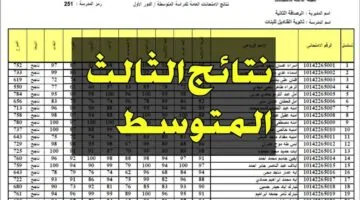 الآن يمكنك تحميل نتائج الثالث متوسط الدور الثالث بصيغة PDF: رابط نتائجنا وخطوات الاستعلام لجميع المحافظات