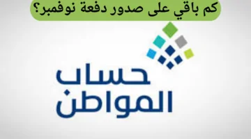مع اقتراب موعد صرف الدفعة 84: كل ما يهمك عن حساب المواطن